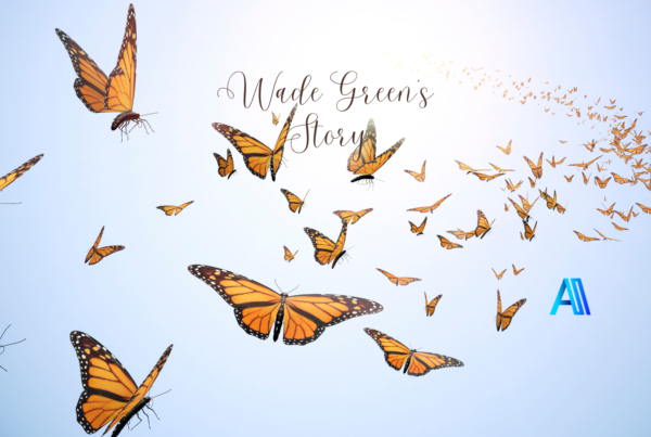 Orange-Blue-Modern-Photo-Butterfly-